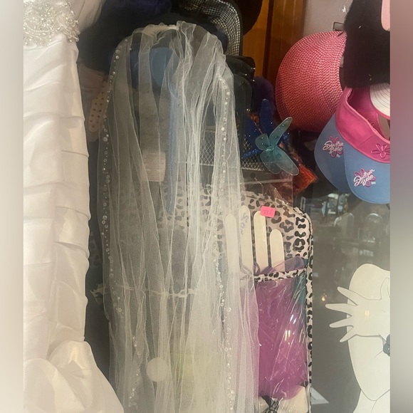 Gorgeous White Wedding Dress and Vail !! - Picture 9 of 12